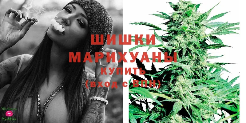 Бошки Шишки White Widow  купить  сайты  Бежецк 